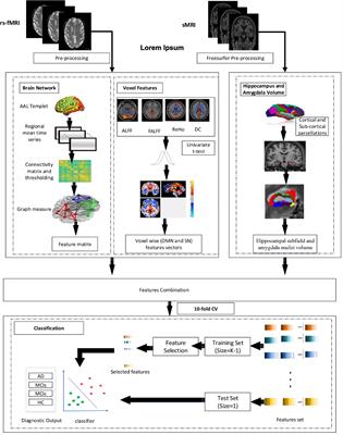 Alzheimer’s Disease Diagnosis and Biomarker Analysis Using Resting-State Functional MRI Functional Brain Network With Multi-Measures Features and Hippocampal Subfield and Amygdala Volume of Structural MRI